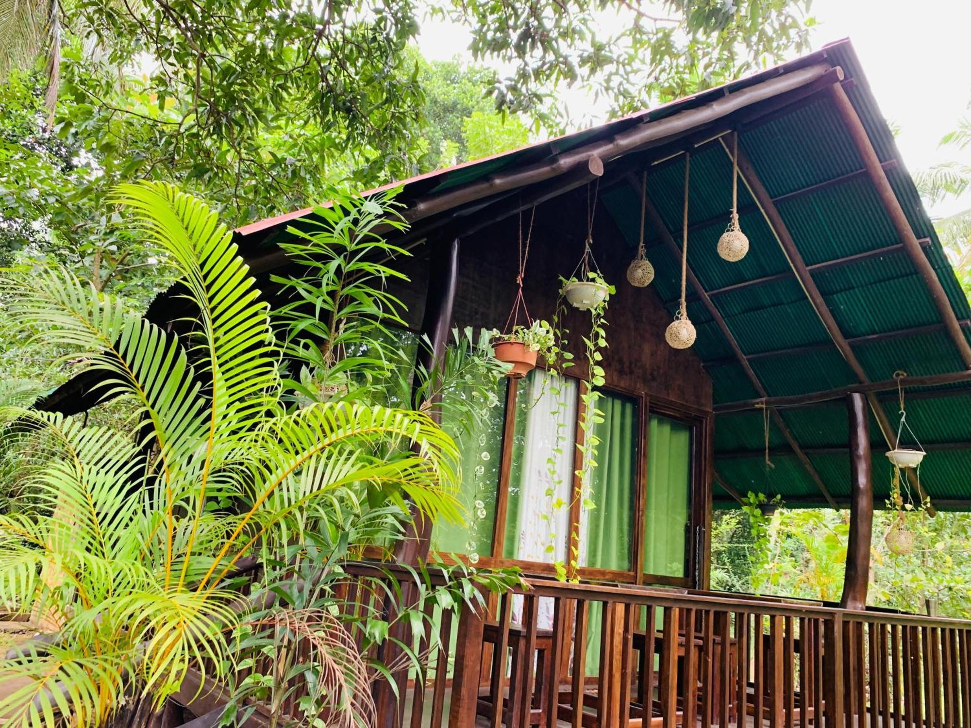 Nature World Udawalawe Room photo
