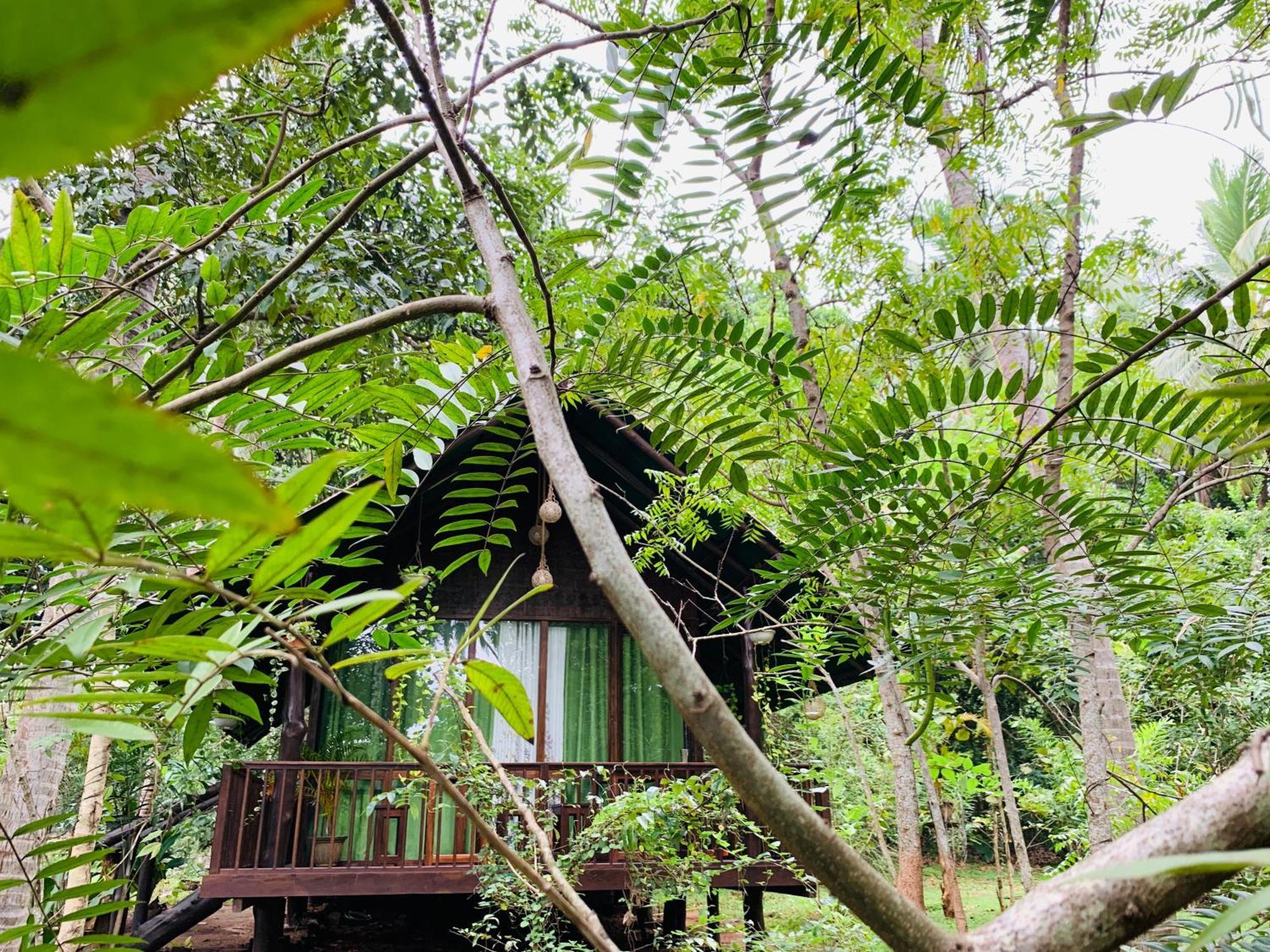 Nature World Udawalawe Room photo